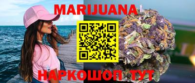 сатива Коммунар