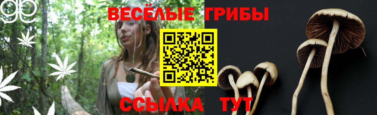 Галлюциногенные грибы ЛСД  Вход с VPN  сколько стоит  Арсеньев 